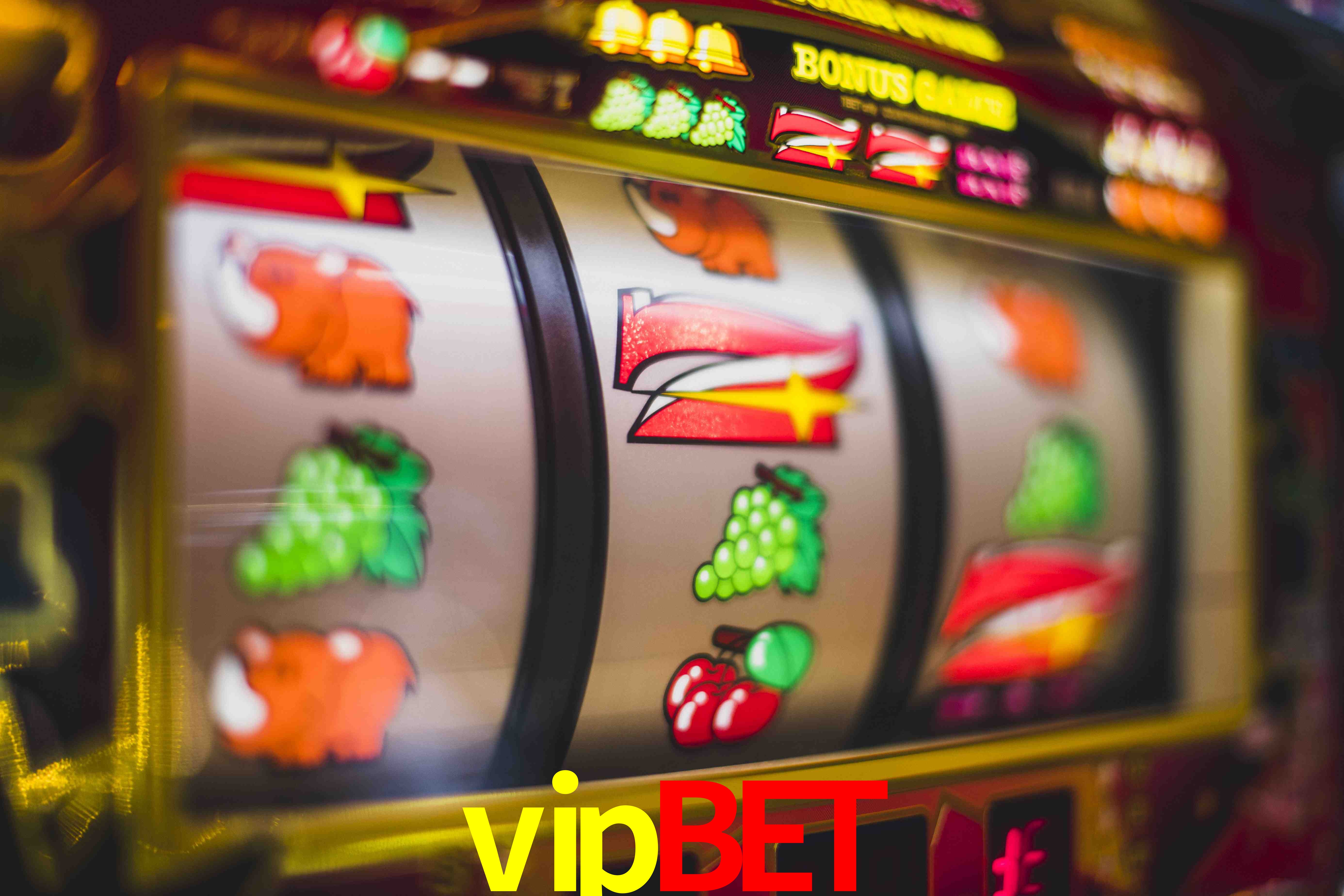 Sports Statistics vipbet